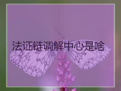 法证链调解中心是啥